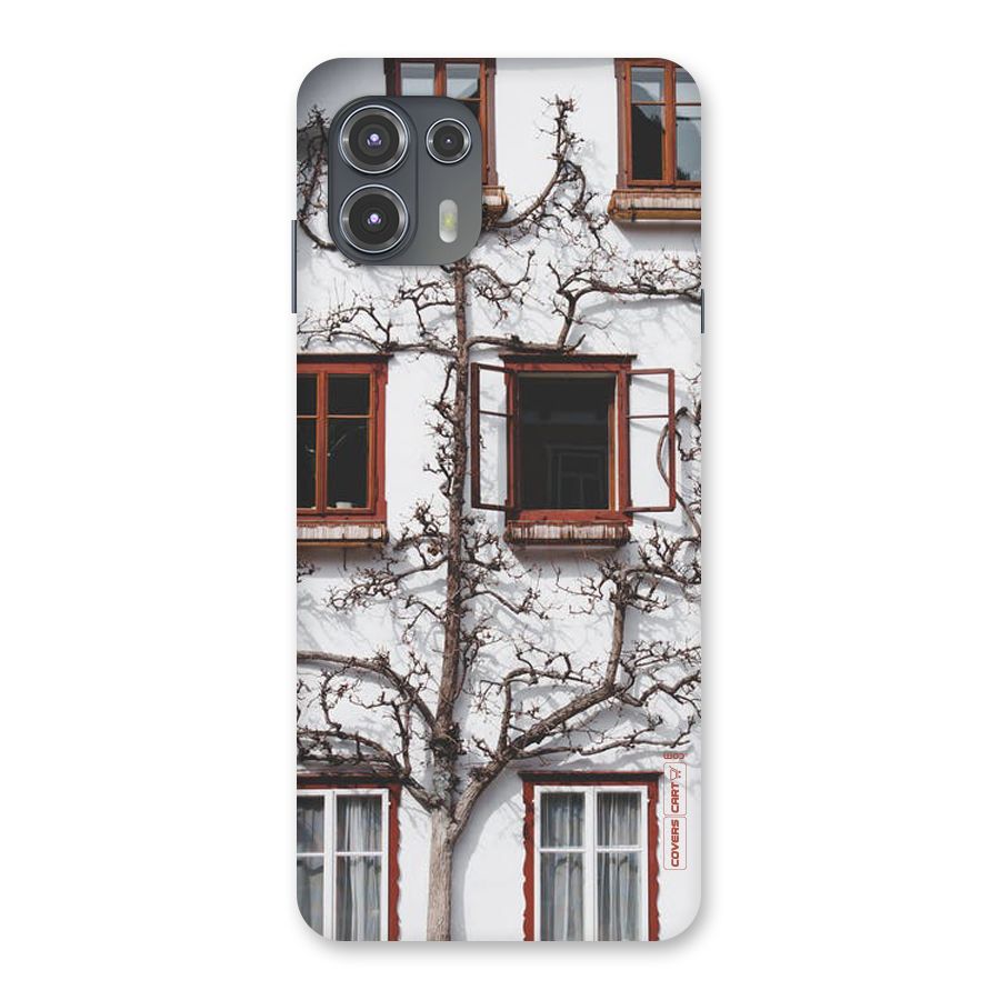 Tree House Back Case for Motorola Edge 20 Fusion