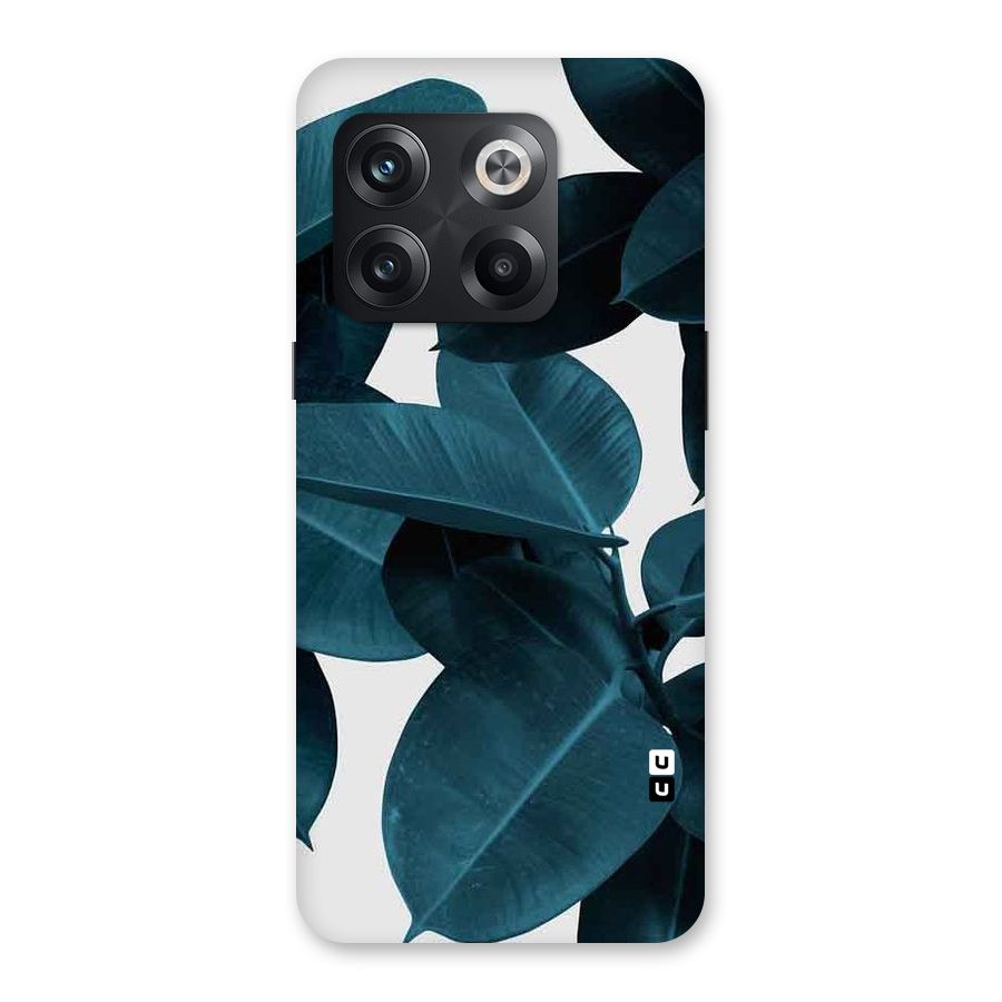 Very Aesthetic Leafs Back Case for OnePlus 10T