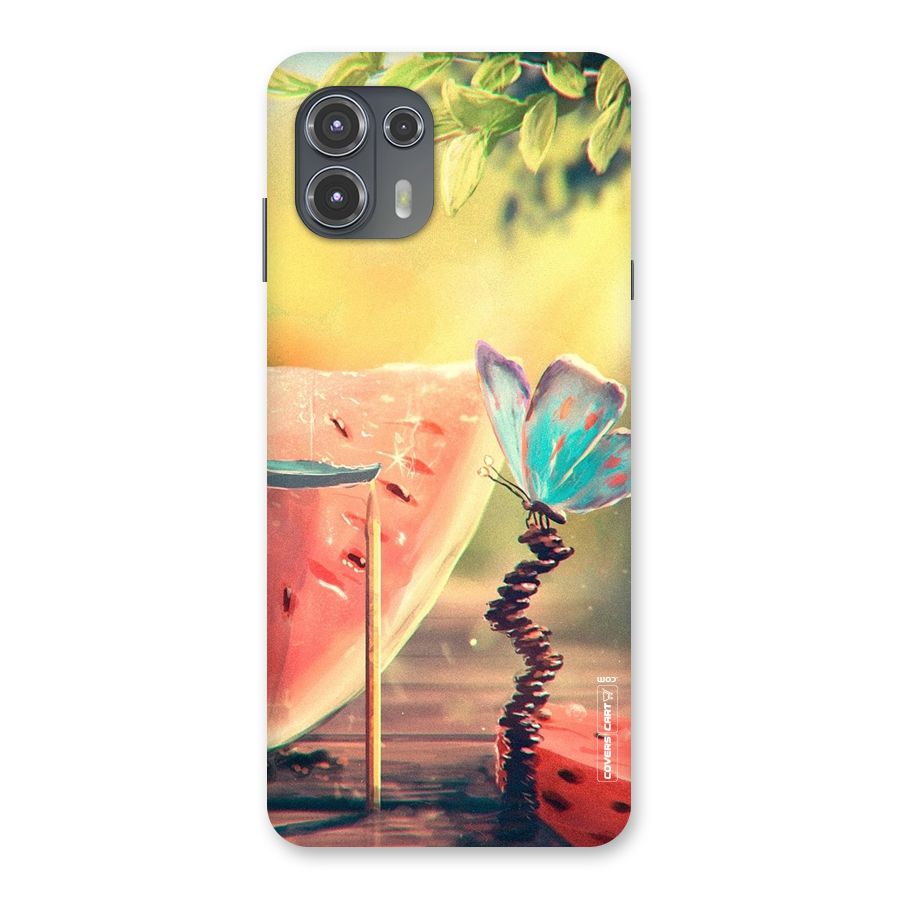 Watermelon Butterfly Back Case for Motorola Edge 20 Fusion