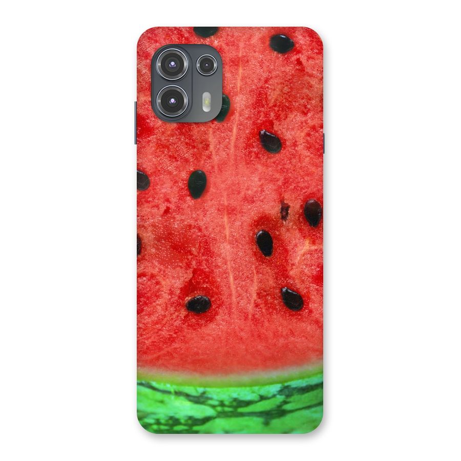 Watermelon Design Back Case for Motorola Edge 20 Fusion