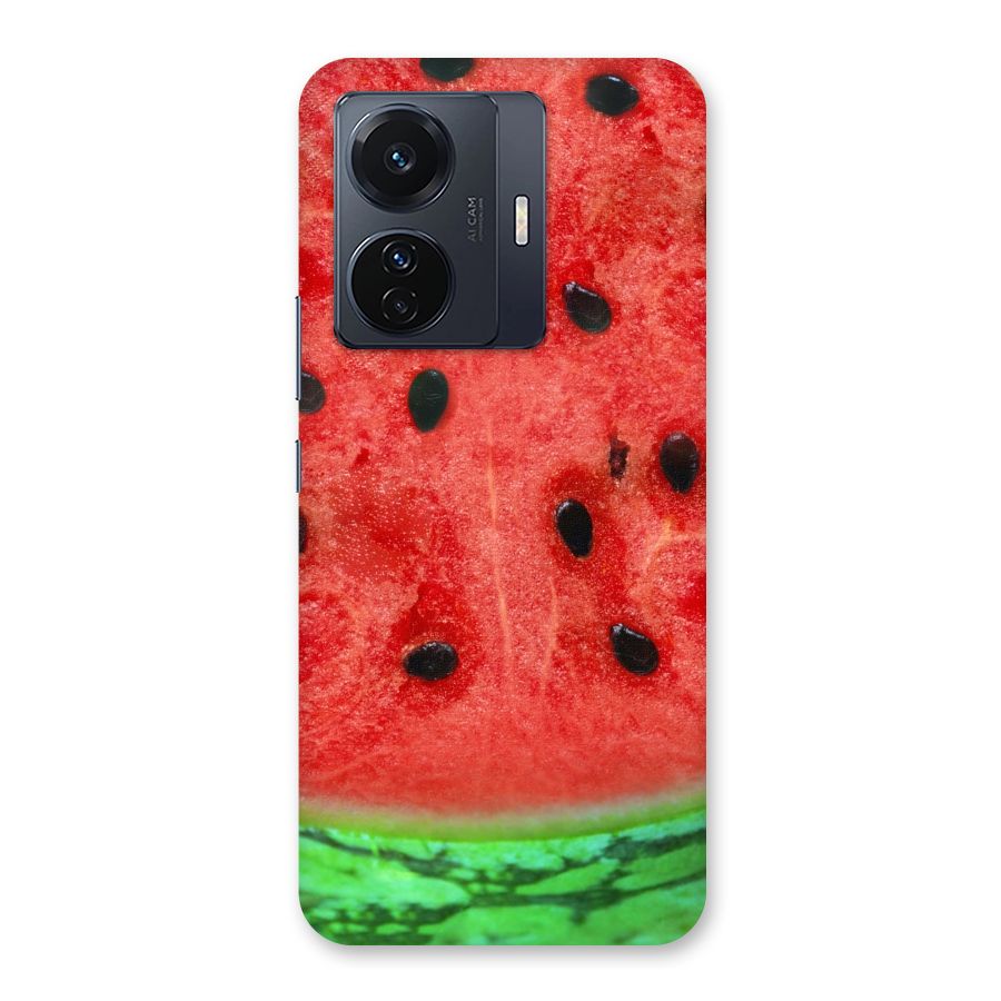 Watermelon Design Back Case for Vivo T1 Pro