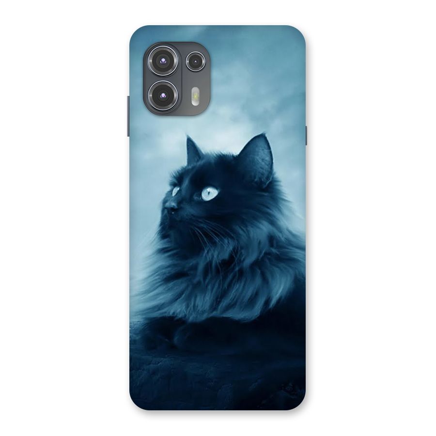 Wild Forest Cat Back Case for Motorola Edge 20 Fusion