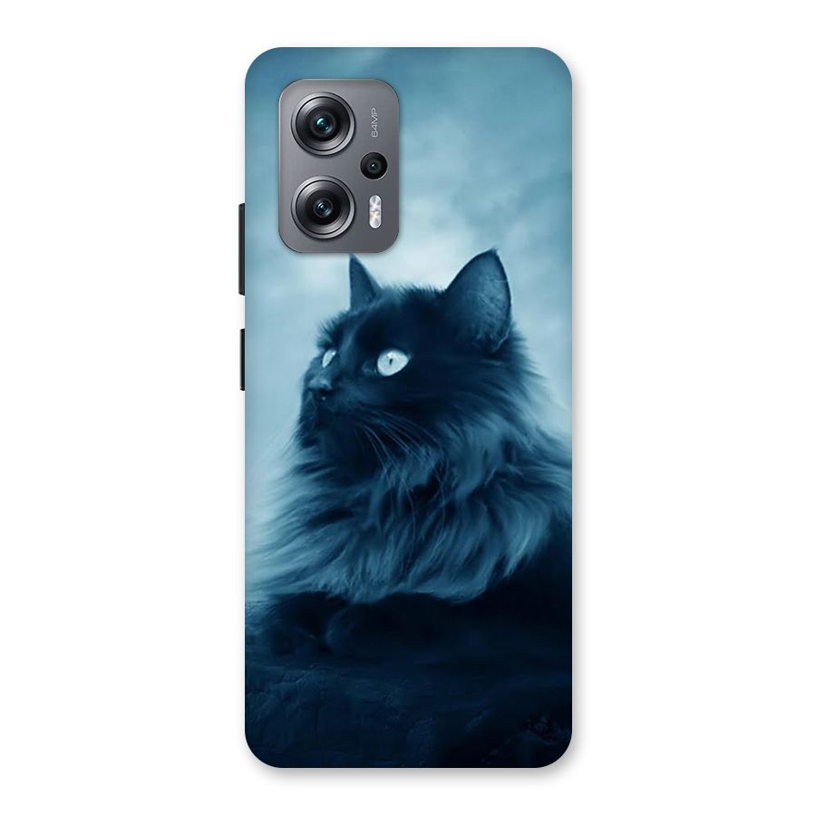 Wild Forest Cat Back Case for Redmi K50i