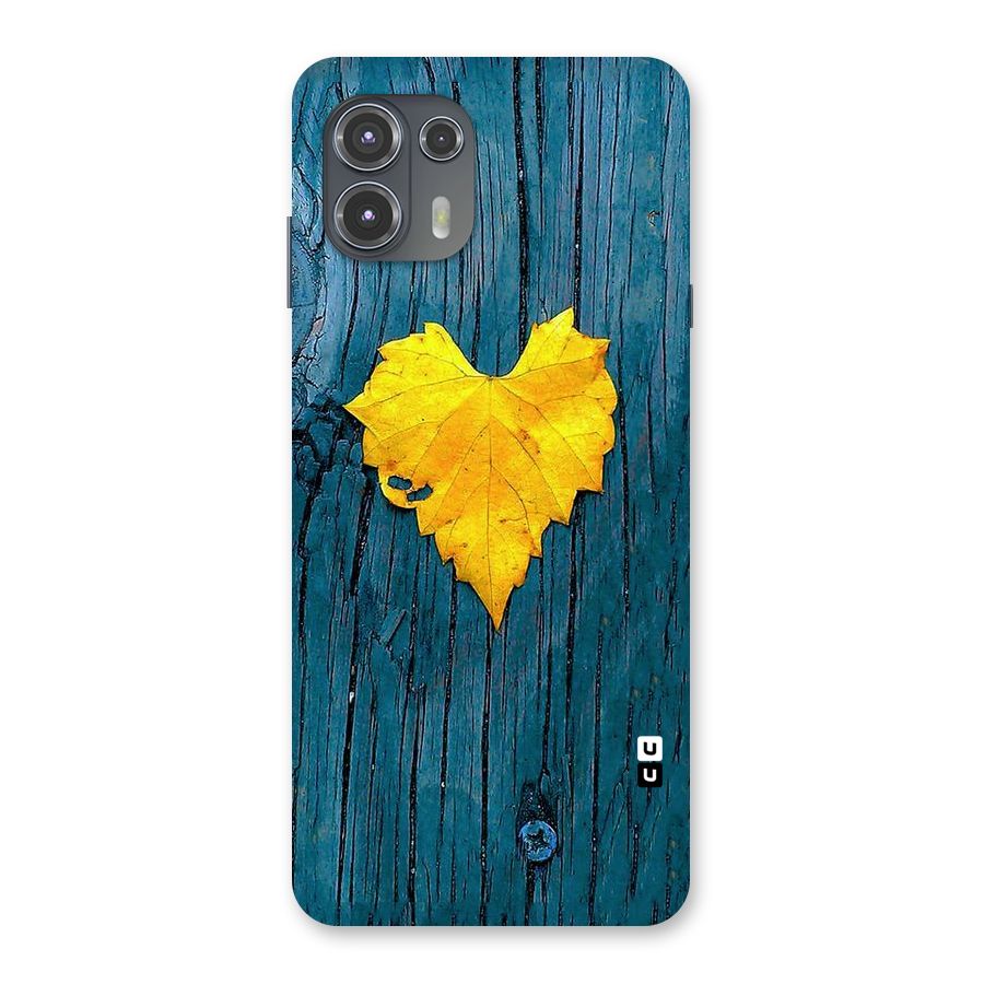 Yellow Leaf Back Case for Motorola Edge 20 Fusion
