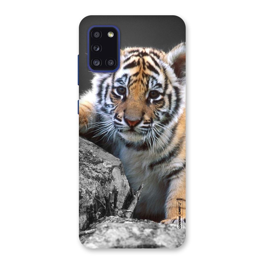 Animal Beauty Back Case for Galaxy A31