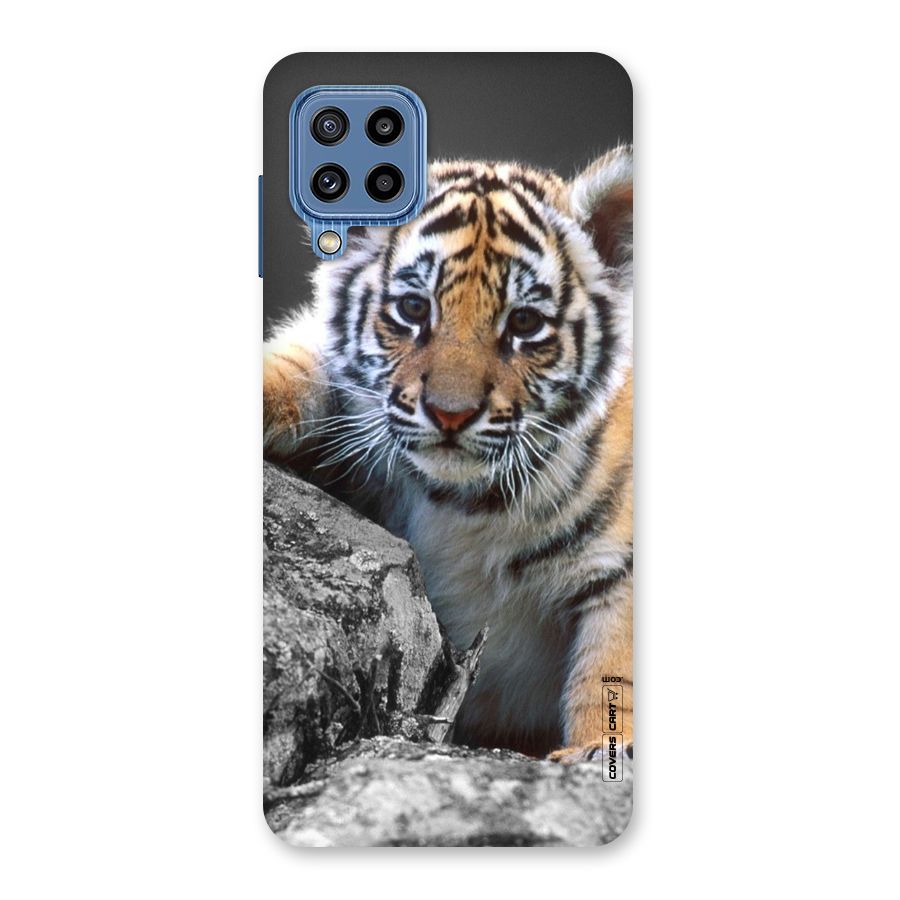 Animal Beauty Back Case for Galaxy M32