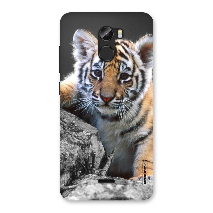 Animal Beauty Back Case for Gionee X1
