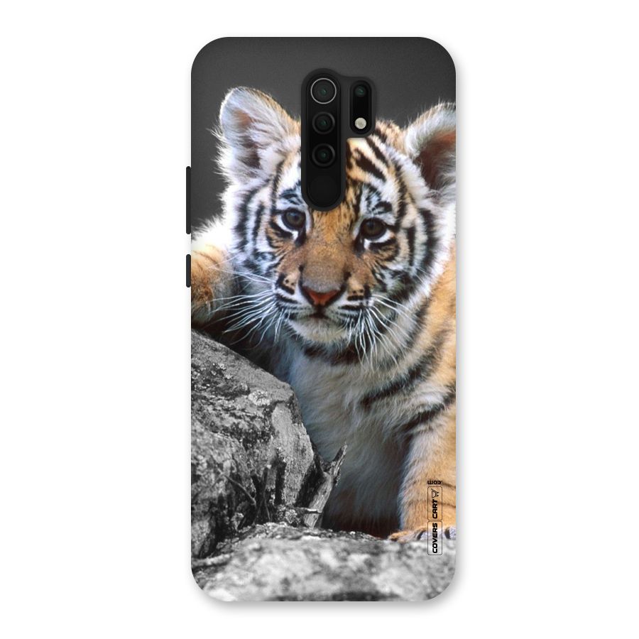 Animal Beauty Back Case for Poco M2