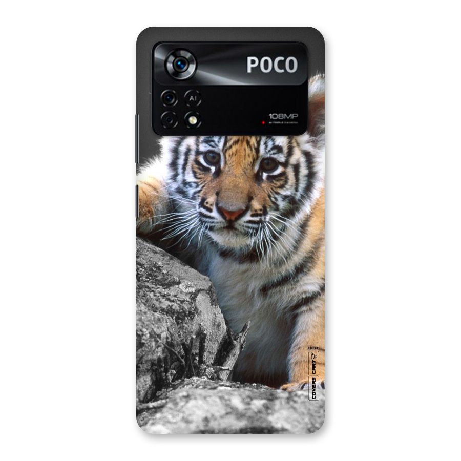 Animal Beauty Back Case for Poco X4 Pro 5G