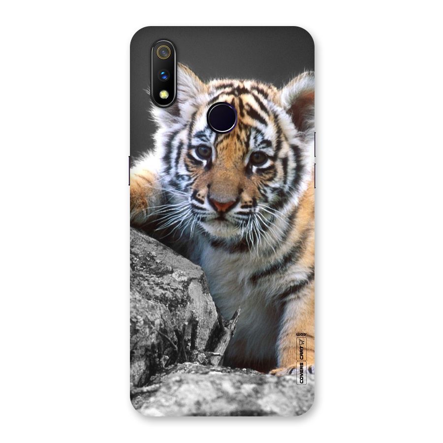 Animal Beauty Back Case for Realme 3 Pro