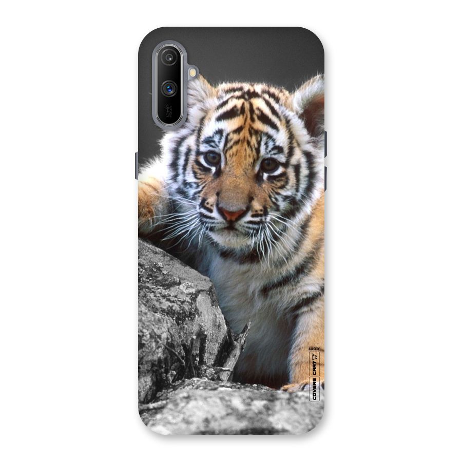 Animal Beauty Back Case for Realme C3