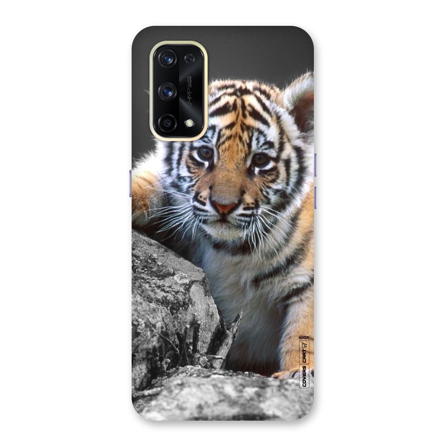 Animal Beauty Glass Back Case for Realme X7 Pro