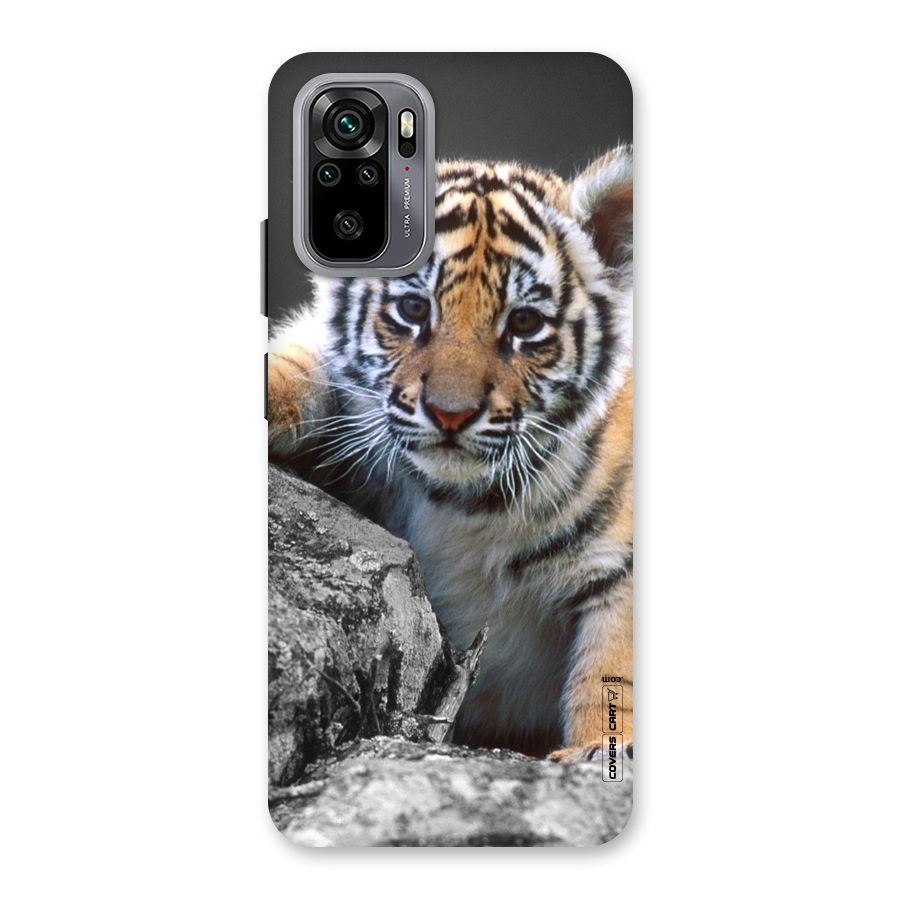 Animal Beauty Back Case for Redmi Note 10