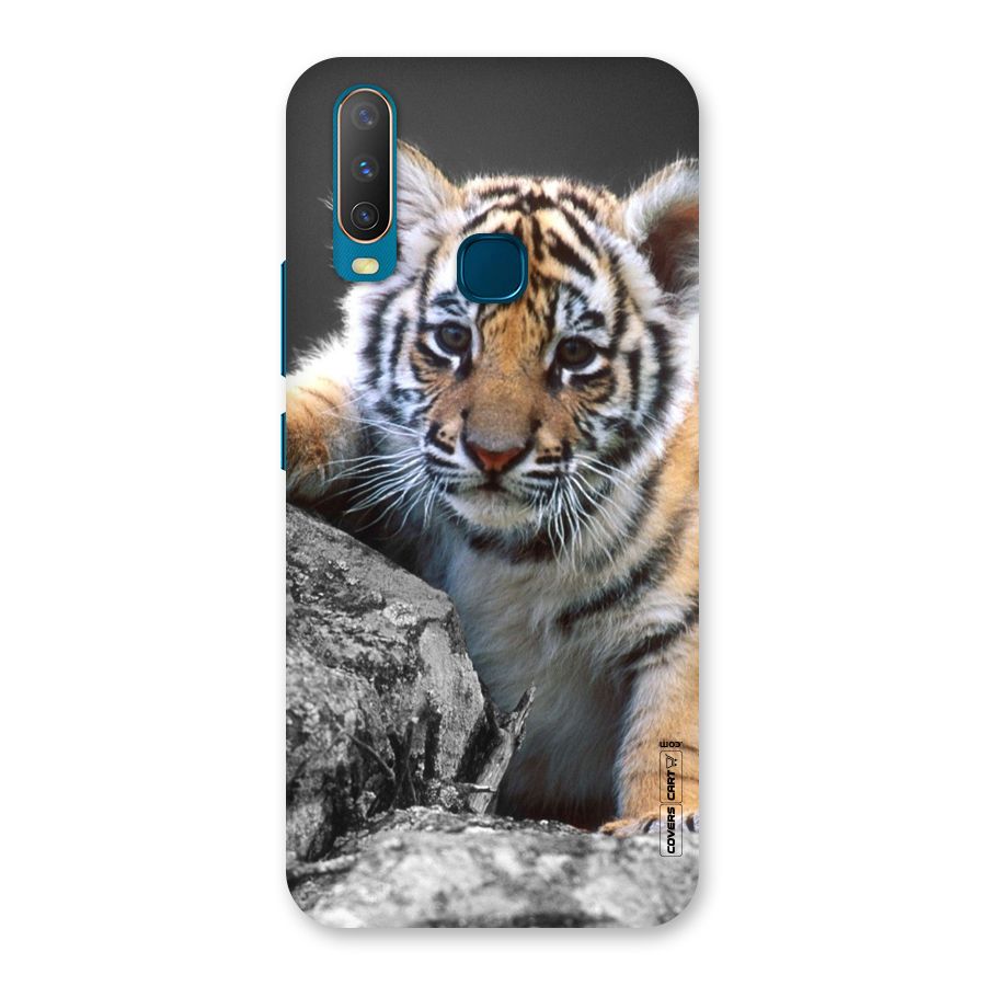 Animal Beauty Back Case for Vivo U10