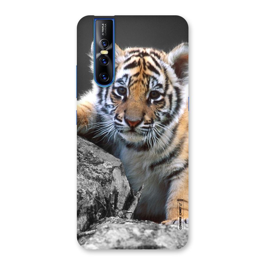 Animal Beauty Back Case for Vivo V15 Pro