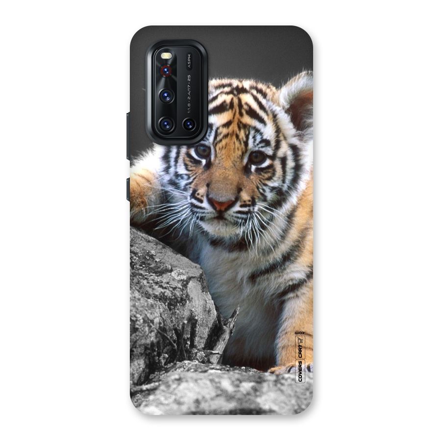 Animal Beauty Back Case for Vivo V19