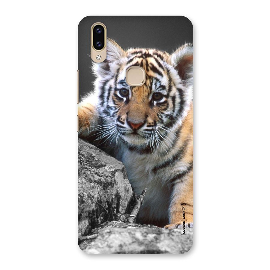 Animal Beauty Back Case for Vivo V9 Youth