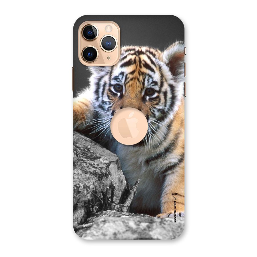 Animal Beauty Back Case for iPhone 11 Pro Max Logo Cut