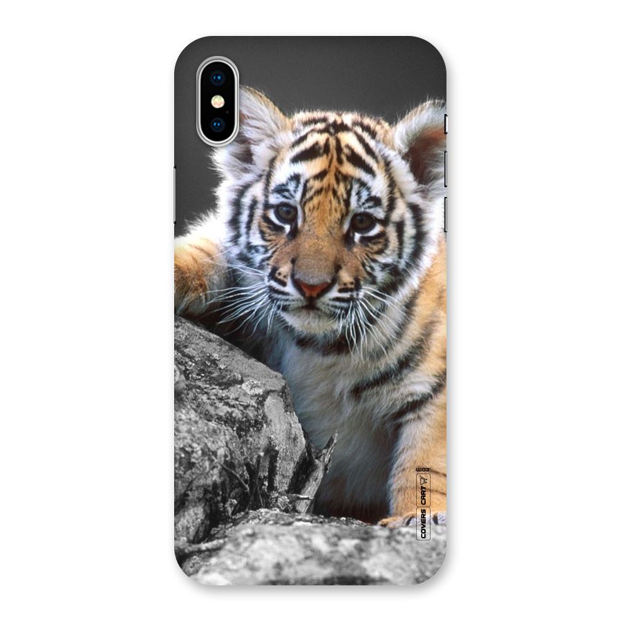 Animal Beauty Back Case for iPhone XS