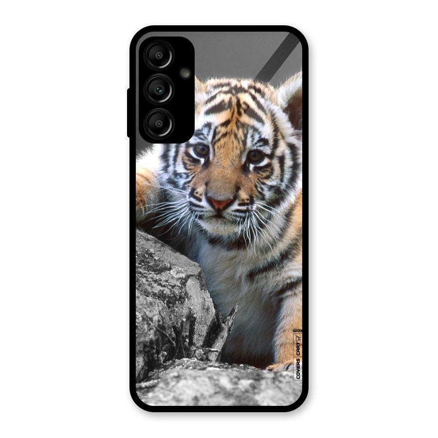 Animal Beauty Glass Back Case for Galaxy A14 5G