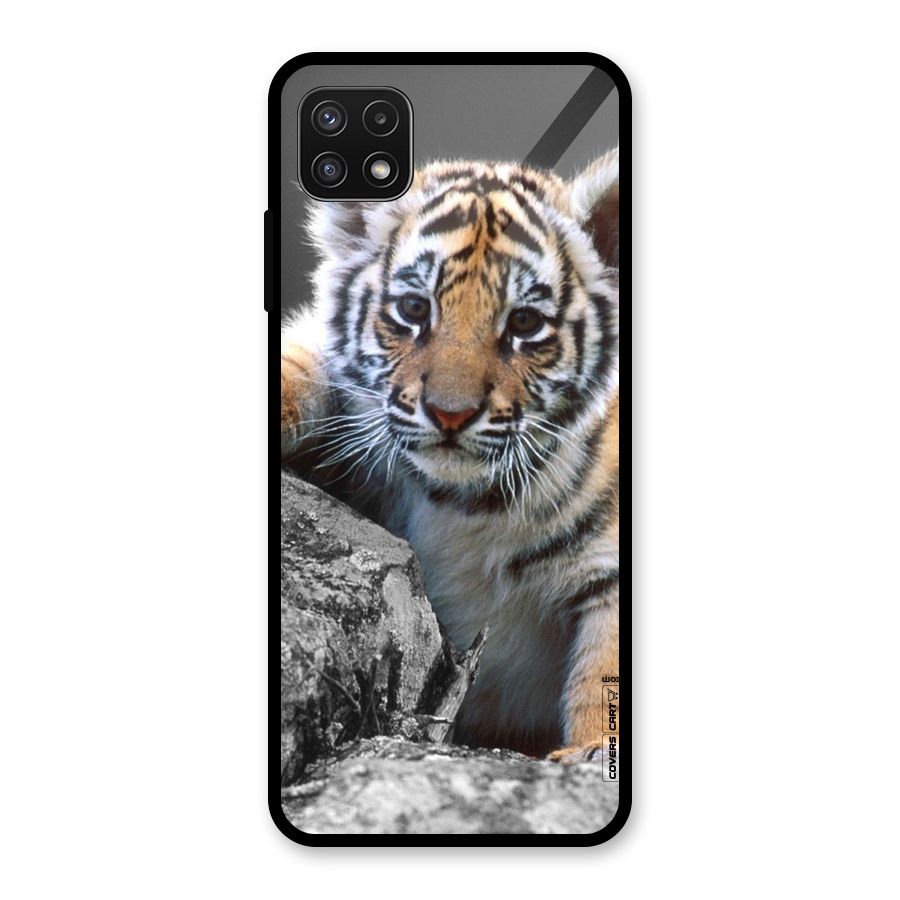 Animal Beauty Glass Back Case for Galaxy A22 5G