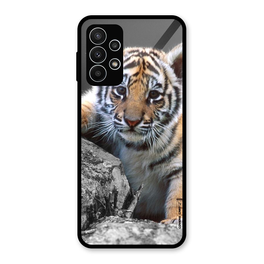 Animal Beauty Glass Back Case for Galaxy A23