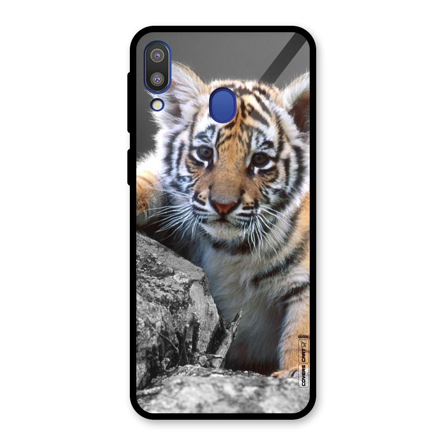 Animal Beauty Glass Back Case for Galaxy M20