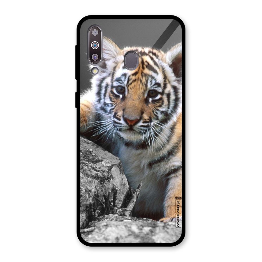 Animal Beauty Glass Back Case for Galaxy M30