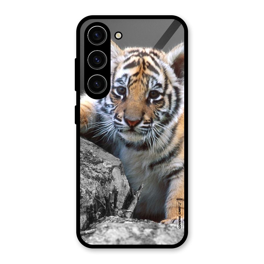 Animal Beauty Glass Back Case for Galaxy S23