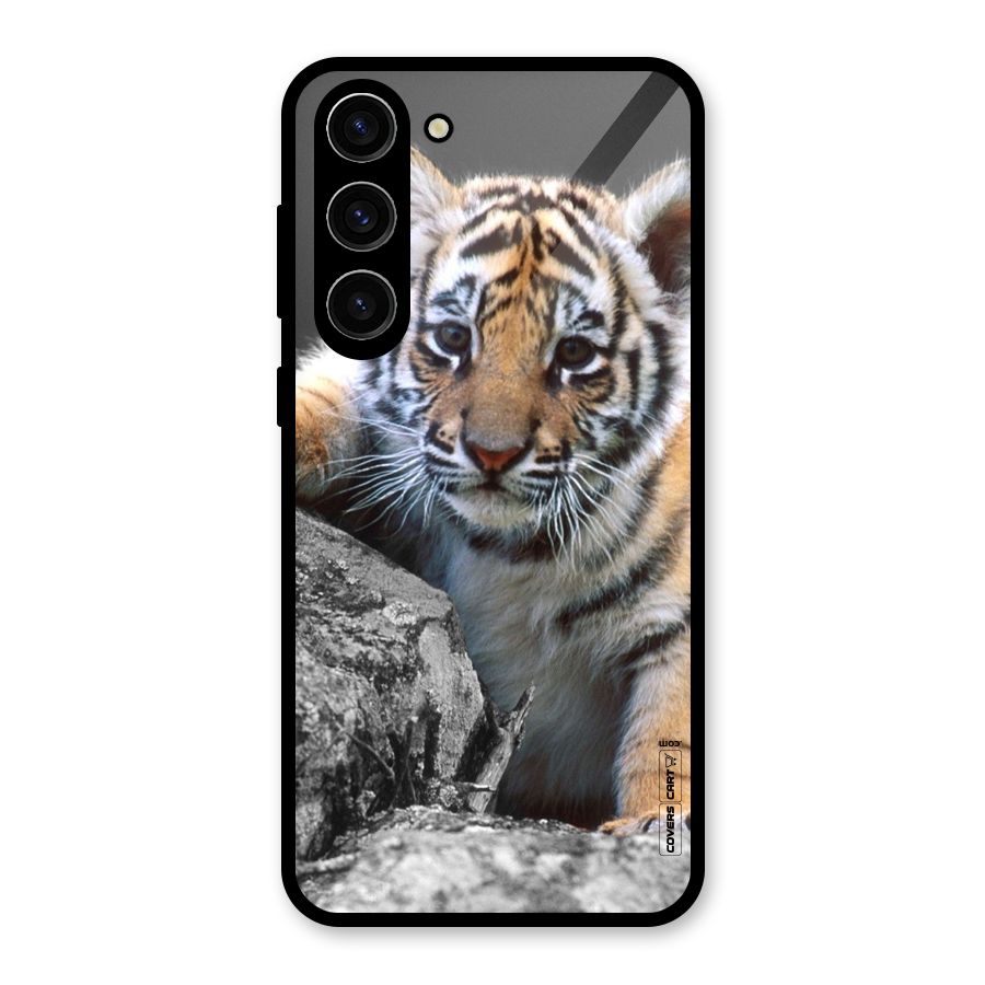 Animal Beauty Glass Back Case for Galaxy S23 Plus