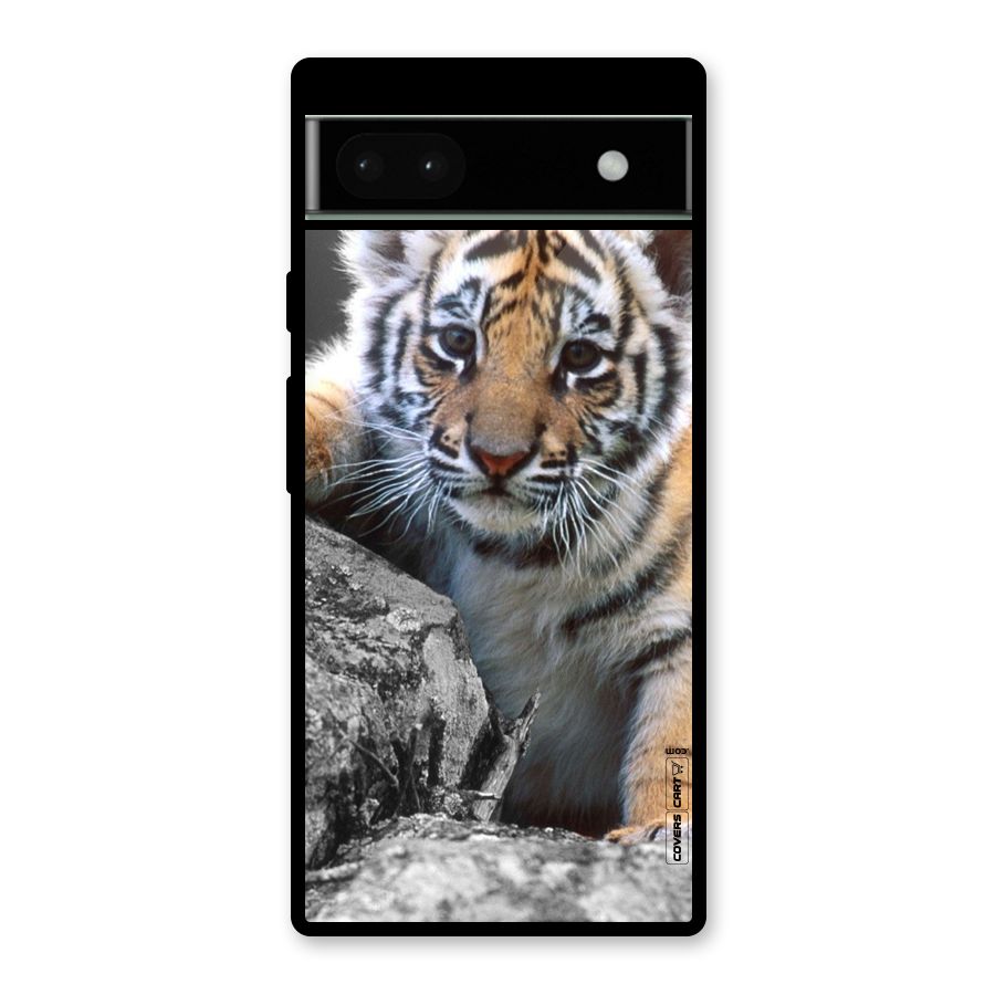 Animal Beauty Glass Back Case for Google Pixel 6a