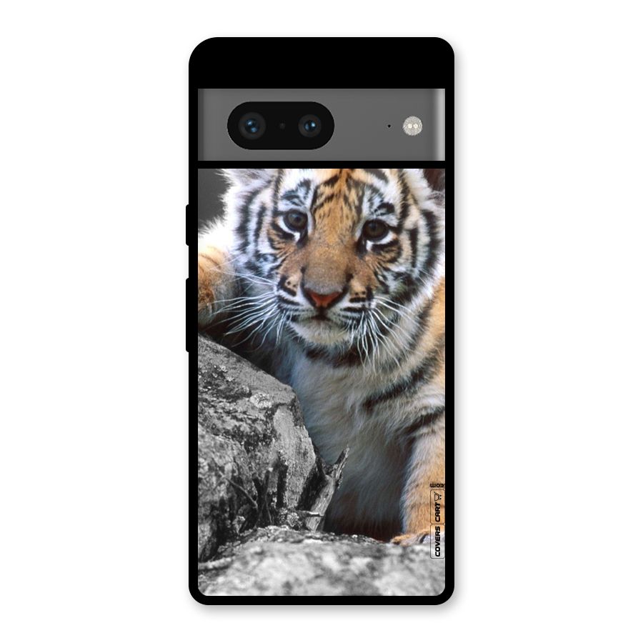 Animal Beauty Glass Back Case for Google Pixel 7