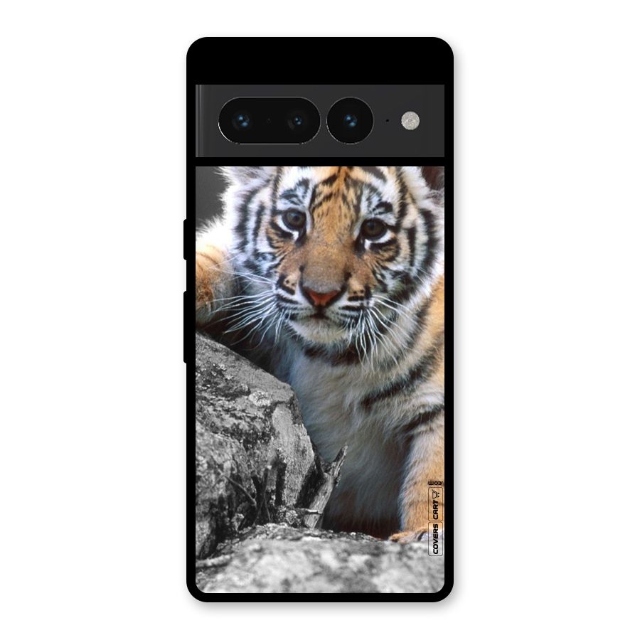 Animal Beauty Glass Back Case for Google Pixel 7 Pro