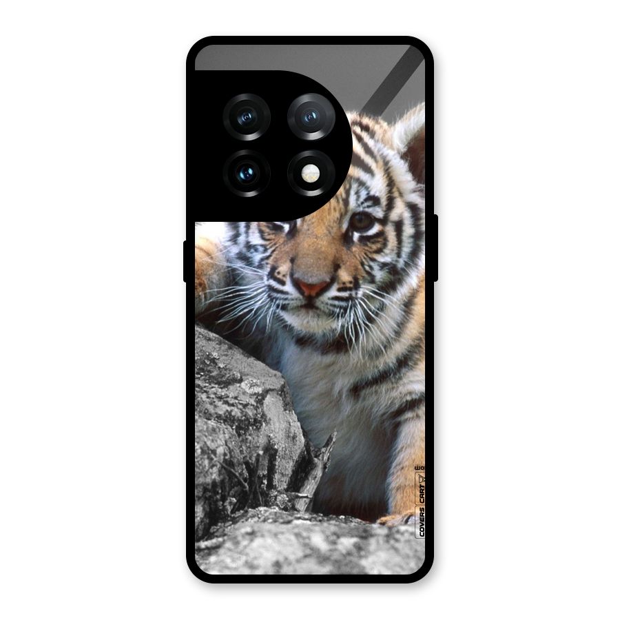 Animal Beauty Glass Back Case for OnePlus 11