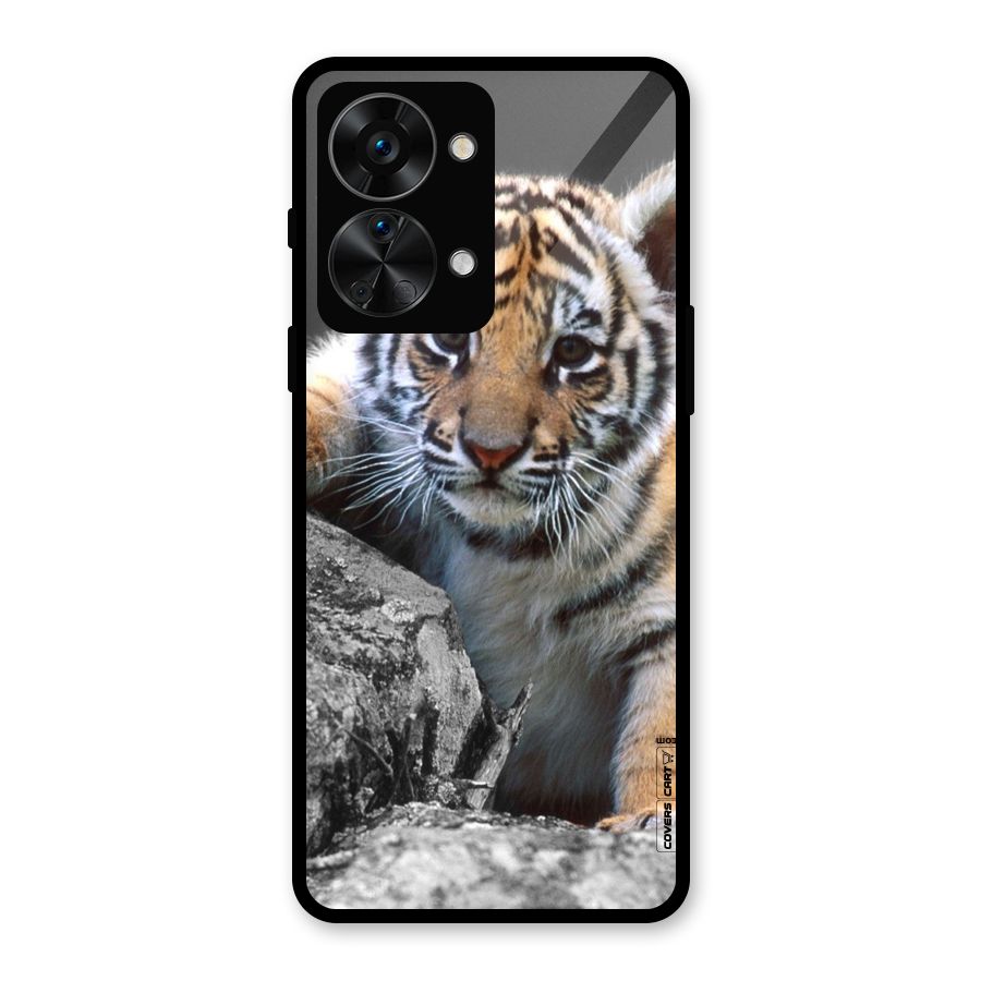 Animal Beauty Glass Back Case for OnePlus Nord 2T