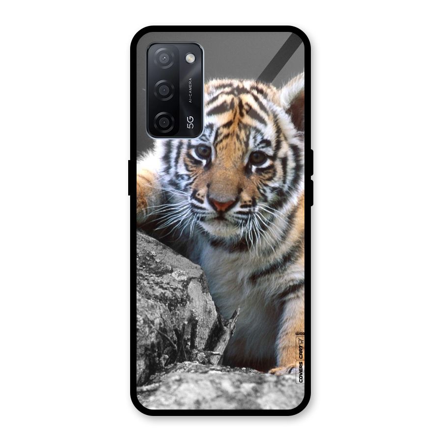 Animal Beauty Glass Back Case for Oppo A53s 5G