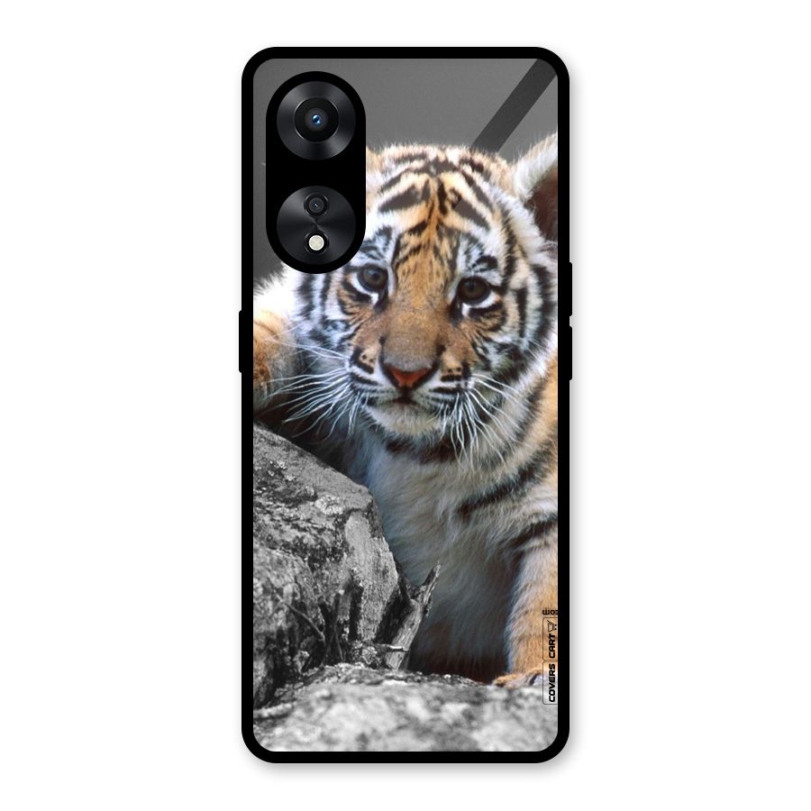Animal Beauty Glass Back Case for Oppo A78