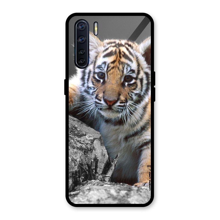 Animal Beauty Glass Back Case for Oppo F15