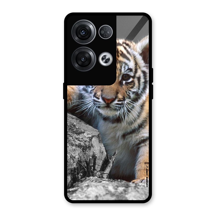 Animal Beauty Glass Back Case for Oppo Reno8 Pro 5G