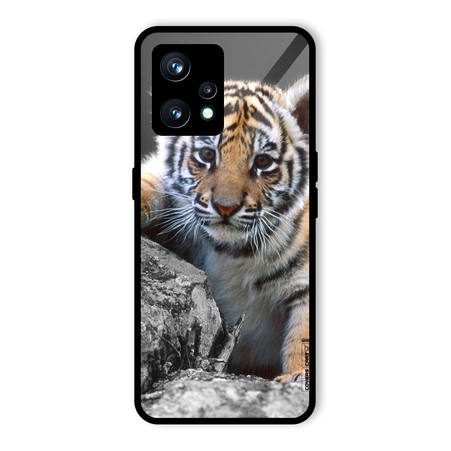Animal Beauty Glass Back Case for Realme 9 Pro Plus 5G