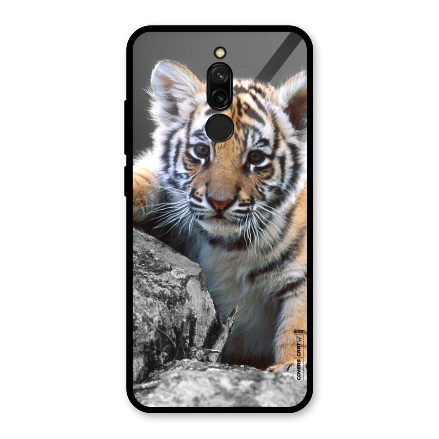 Animal Beauty Glass Back Case for Redmi 8