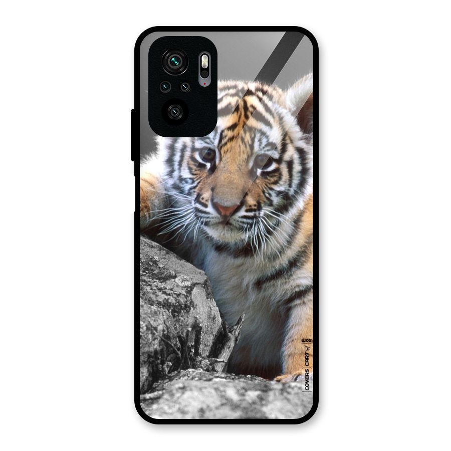 Animal Beauty Glass Back Case for Redmi Note 10S