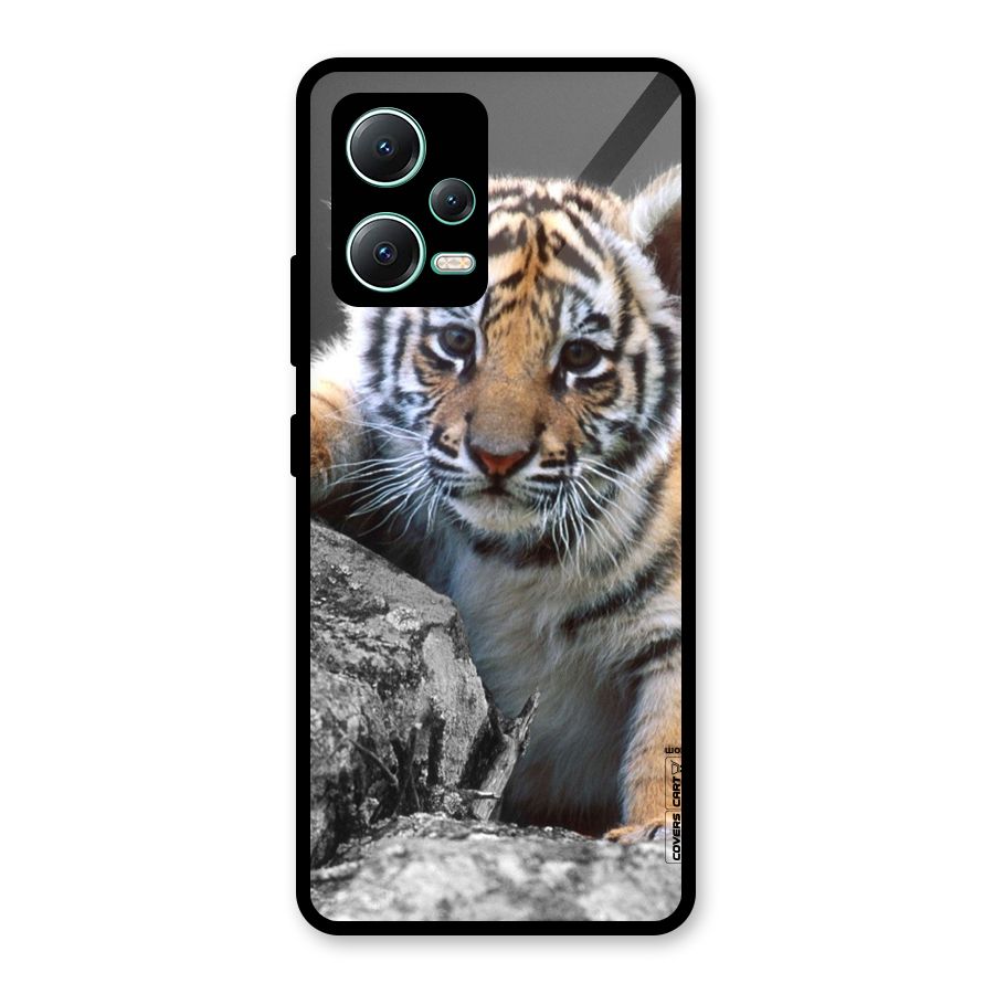 Animal Beauty Glass Back Case for Redmi Note 12 5G