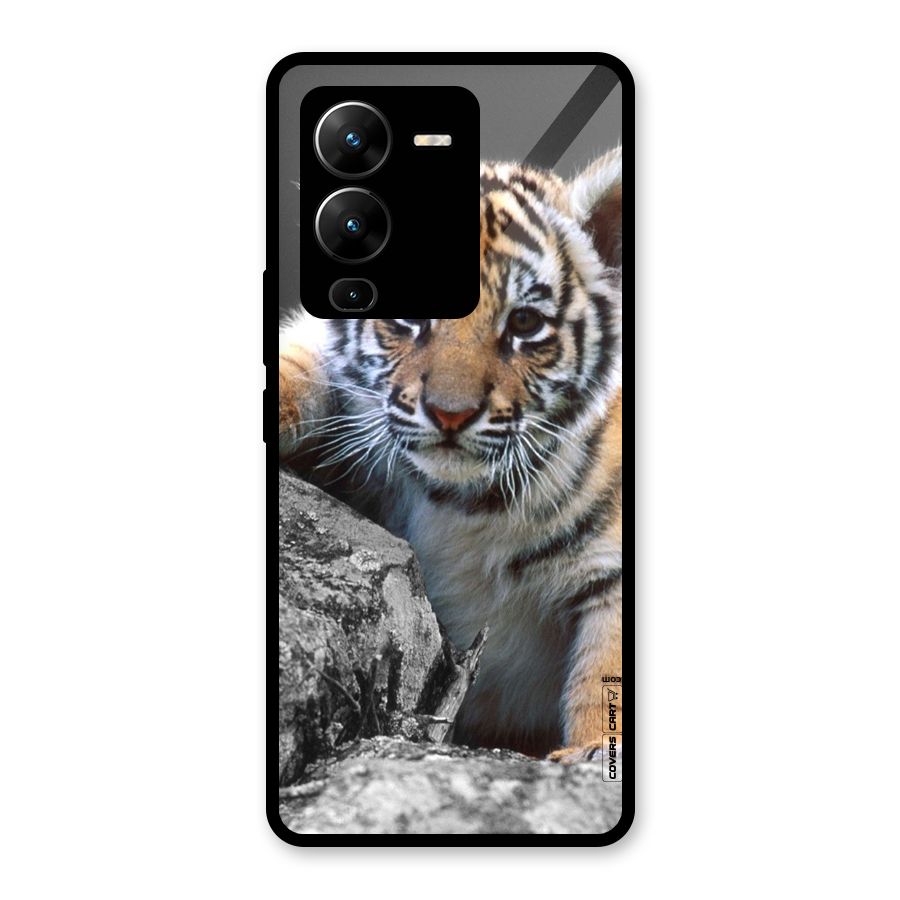 Animal Beauty Glass Back Case for Vivo V25 Pro
