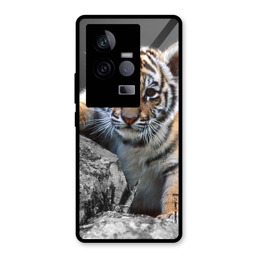 Animal Beauty Glass Back Case for Vivo iQOO 11 5G