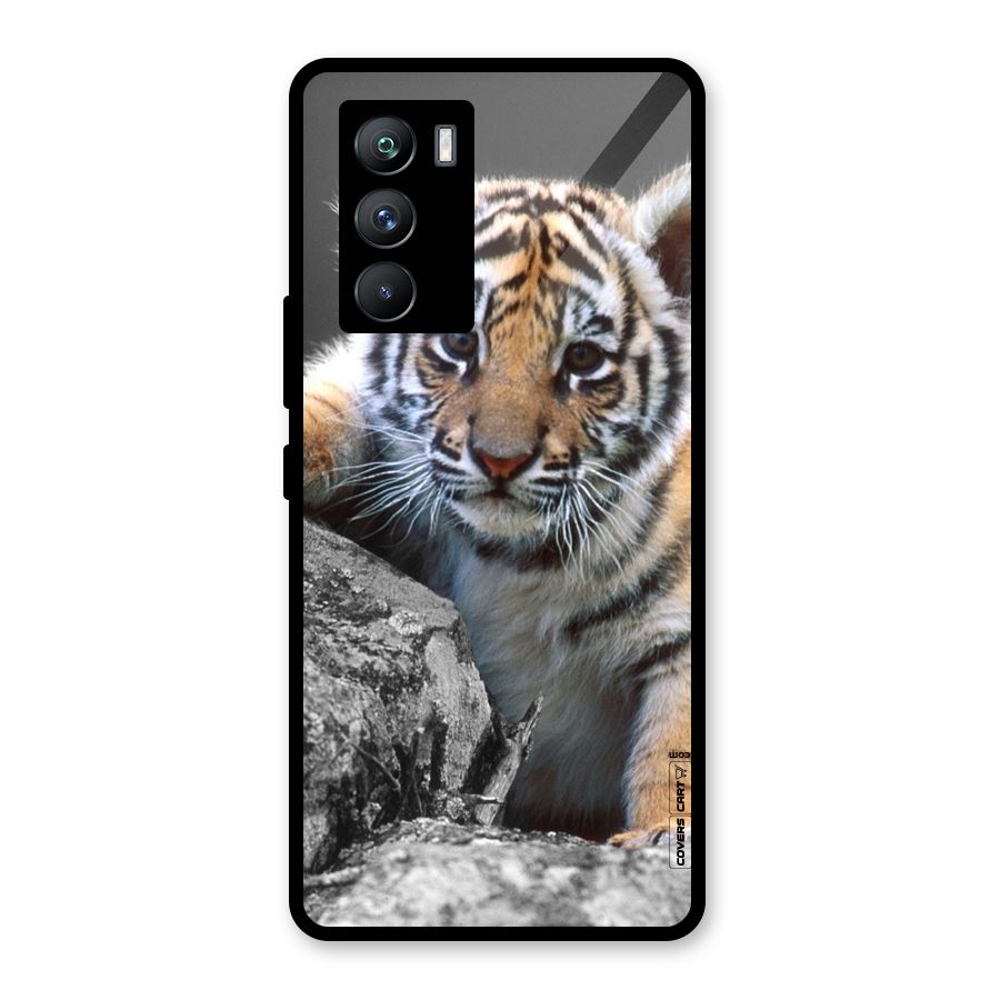 Animal Beauty Glass Back Case for Vivo iQOO 9 SE