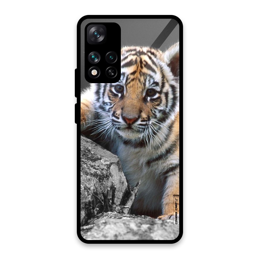 Animal Beauty Glass Back Case for Xiaomi 11i HyperCharge 5G