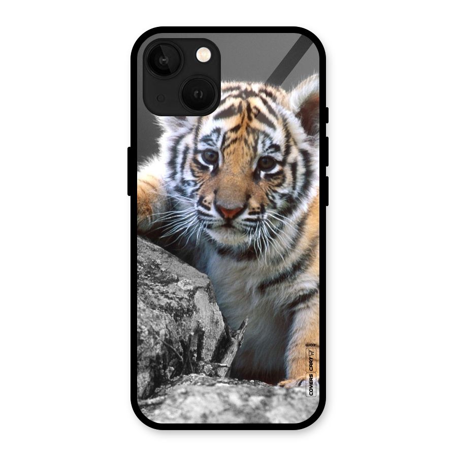 Animal Beauty Glass Back Case for iPhone 13