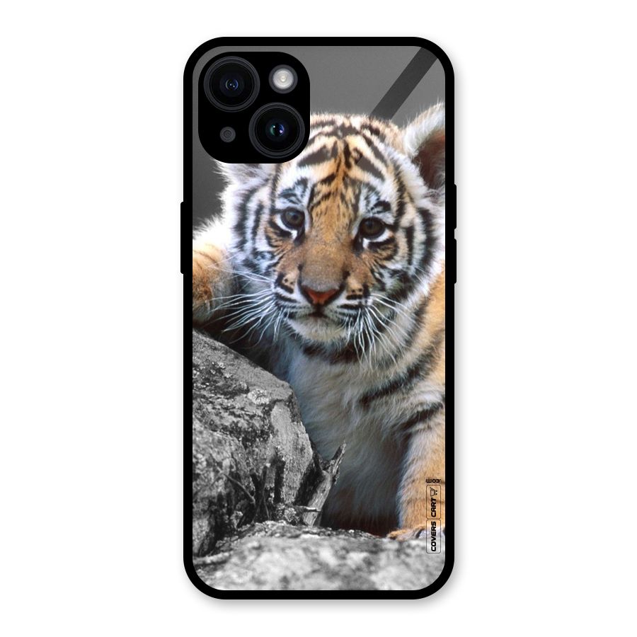 Animal Beauty Glass Back Case for iPhone 14