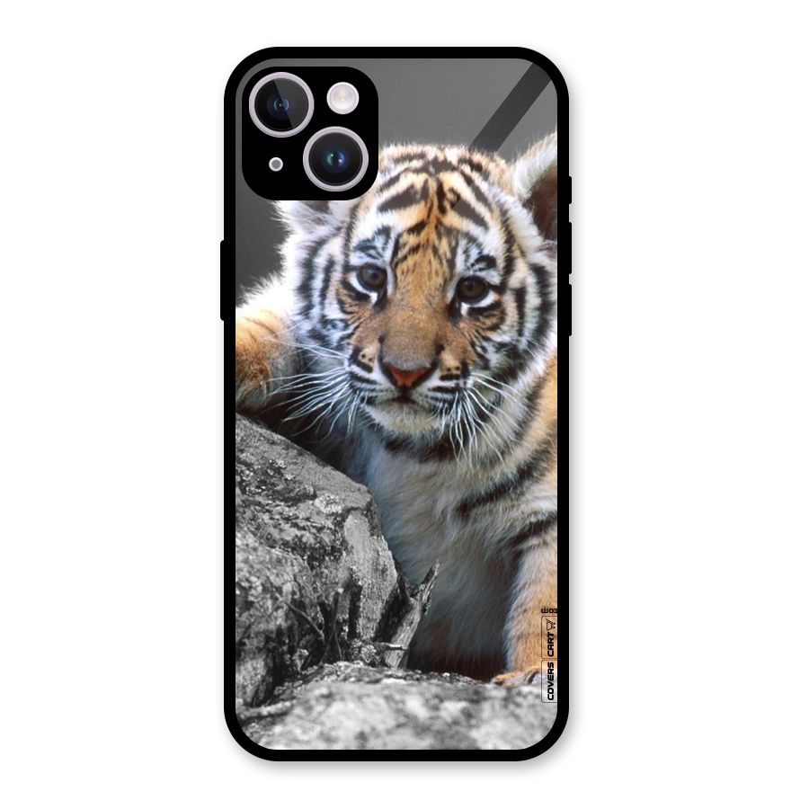 Animal Beauty Glass Back Case for iPhone 14 Plus